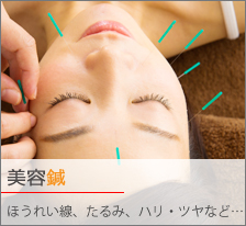 美容鍼